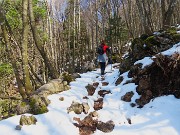MONTE SUCHELLO (1541 m), fiorito in basso , innevato in alto, da Costa Serina il 19 marzo 2026  - FOTOGALLERY